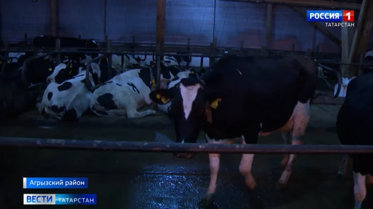 Минниханов открыл международный форум ЮНЕСКО