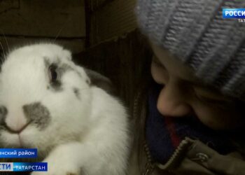 В Татарстане выбрали главные задачи для здравоохранения на следующий год
