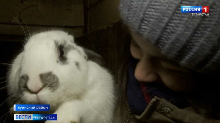 В Татарстане выбрали главные задачи для здравоохранения на следующий год