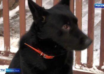 Минтимер Шаймиев исполнил новогодние желания двух девочек из Татарстана