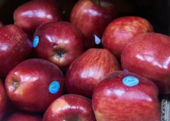 Простые правила, чтобы избавиться от живота