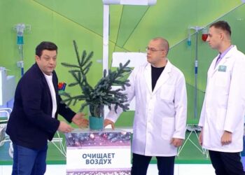 Врачи рассказали о преимуществах живой новогодней ели