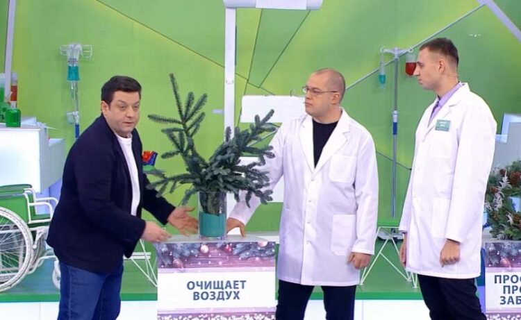 Врачи рассказали о преимуществах живой новогодней ели