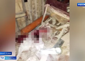 Под Казанью живодер растерзал собаку в подъезде — полиция проводит проверку