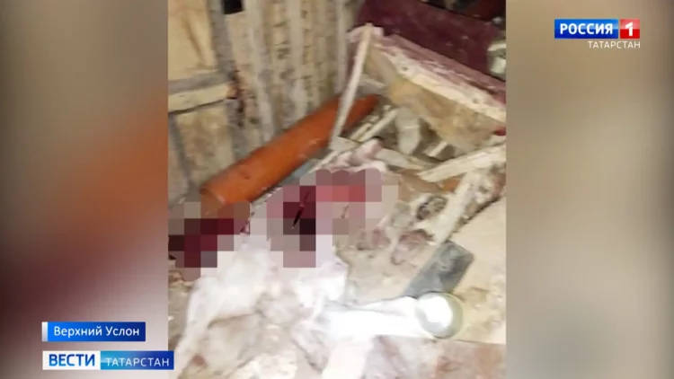 Под Казанью живодер растерзал собаку в подъезде — полиция проводит проверку