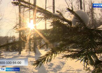 Делаем этот мир лучше вместе: «Вести» навестили героев телевизионного проекта «Дети»