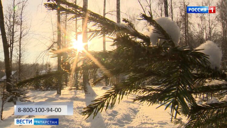 Делаем этот мир лучше вместе: «Вести» навестили героев телевизионного проекта «Дети»