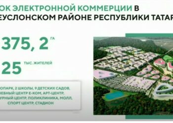 В Верхнеуслонском районе может появиться городок электронной коммерции на 25 тыс. жителей