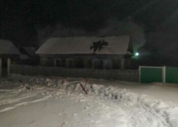 В Альметьевском районе мужчины случайно подожгли дом