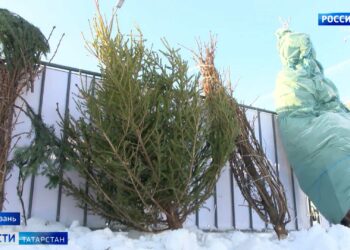 Не прошел испытание морозом: жильцы ЖК «Легенда» собираются подать в суд на застройщика