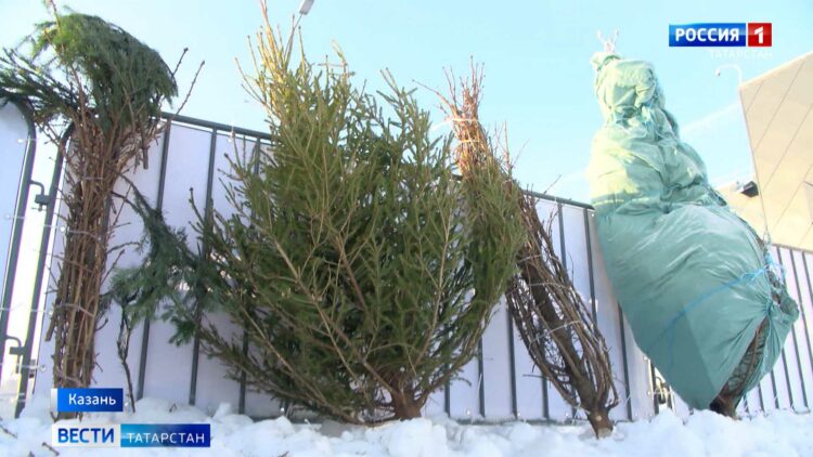 Не прошел испытание морозом: жильцы ЖК «Легенда» собираются подать в суд на застройщика