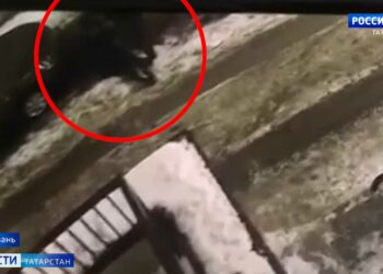 В Казани во дворе дома мужчина забил женщину молотком