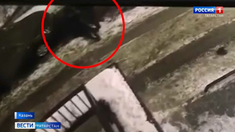 В Казани во дворе дома мужчина забил женщину молотком