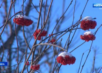 Штормовое предупреждение: на Татарстан надвигаются аномальные морозы до -37 градусов