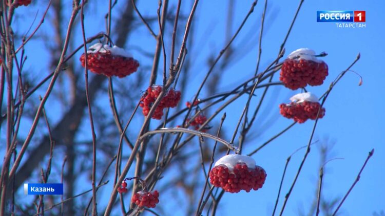 Штормовое предупреждение: на Татарстан надвигаются аномальные морозы до -37 градусов