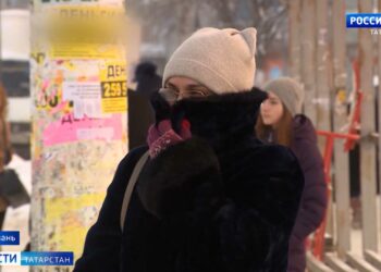 В Татарстане расширяется поддержка фермеров: кому положены гранты?