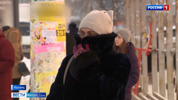 В Татарстане расширяется поддержка фермеров: кому положены гранты?