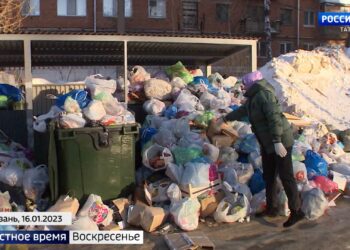 Заваленные мусором дворы и сотни жалоб: почему в Казани не вывозят отходы?