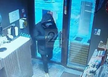 В Казани мужчина украл кошку с автозаправочной станции