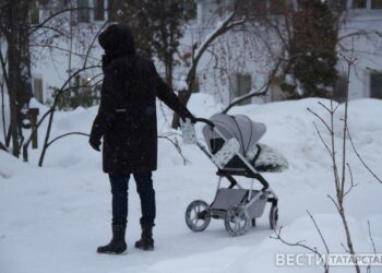 Ирина Волынец предложила разрешить досрочный выход на пенсию для многодетных отцов-одиночек
