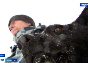 «У меня две собаки по разным направлениям»: один день с кинологом из Казани