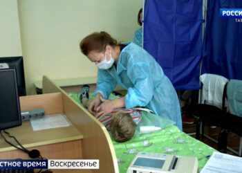 На поводке: в Татарстане разработали новые правила содержания собак