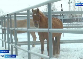 Василю Шайхразиеву показали конноспортивную школу в Муслюмове