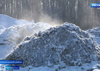 Жители Зеленодольского района задыхаются из-за местной птицефабрики