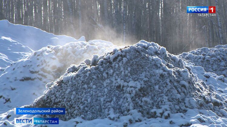 Жители Зеленодольского района задыхаются из-за местной птицефабрики