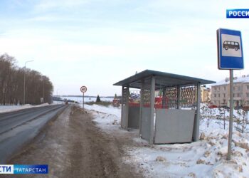 Бастрыкину доложат о проблемах с общественным транспортом в Пестречинском районе