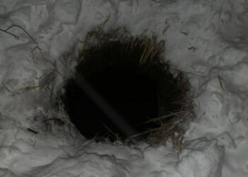 В Татарстане погиб ребенок, упав в яму с водой