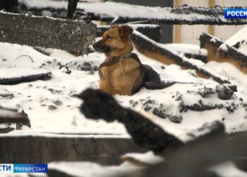 «Давай, кидай ребенка и выпрыгивай сама»: соседи рассказали о пожаре, унесшем жизни отца и троих дочерей