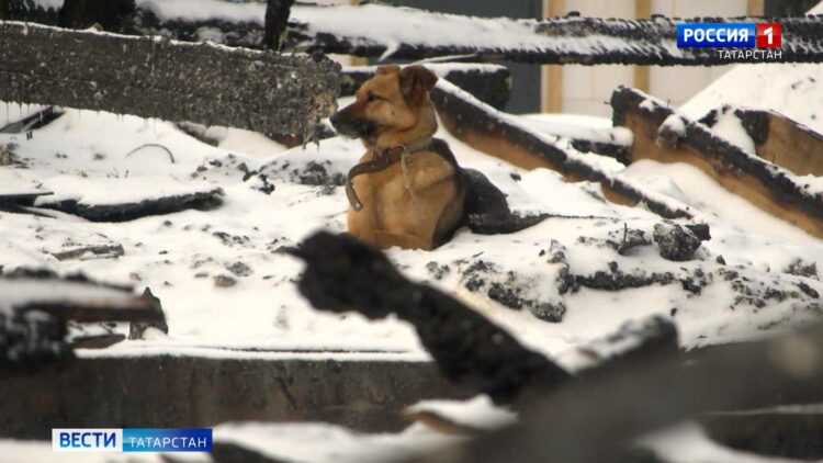 «Давай, кидай ребенка и выпрыгивай сама»: соседи рассказали о пожаре, унесшем жизни отца и троих дочерей