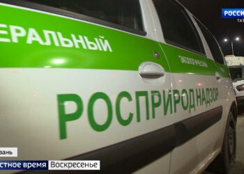 Владимир Путин отметил вклад Татарстана в развитие России