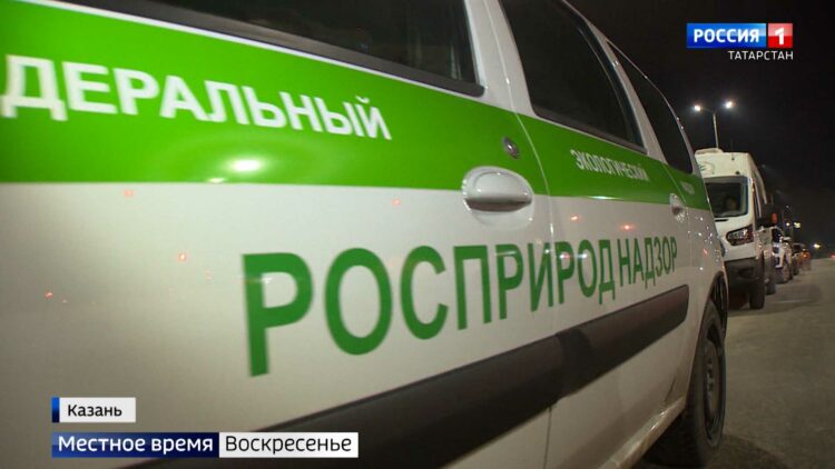 Владимир Путин отметил вклад Татарстана в развитие России