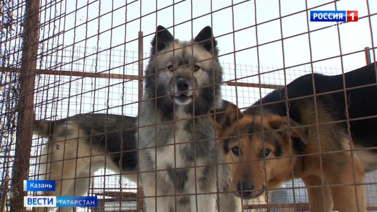 Василю Шайхразиеву показали конноспортивную школу в Муслюмове