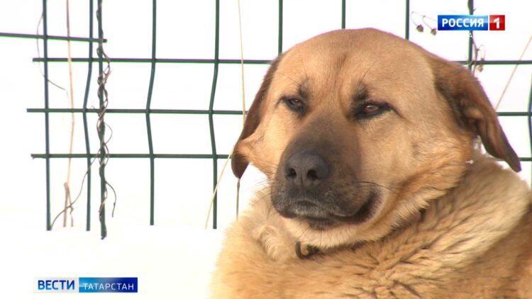«Прошу не наказывать строго»: похитившие 15 млн из отдела Следкома РТ выступили в суде с последним словом