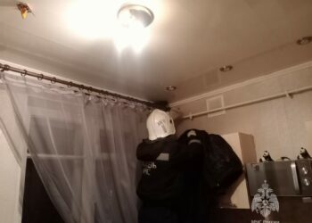 Из квартиры в Казани спасатели выгнали ворону, напугавшую пенсионерку с внуком