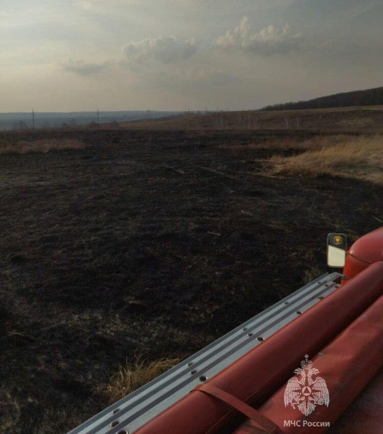 В Лениногорском районе Татарстана загорелась сухая трава