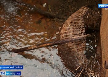 «У нас даже скотина не пьет»: жители села в Татарстане жалуются на качество питьевой воды