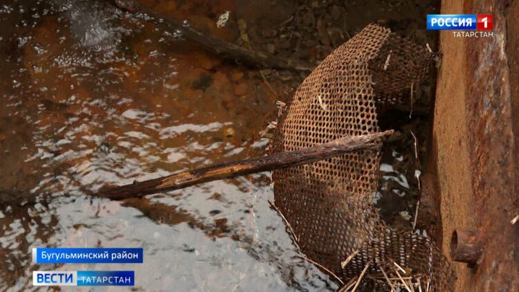 «У нас даже скотина не пьет»: жители села в Татарстане жалуются на качество питьевой воды
