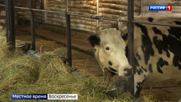Торты, сухоцветы, мастер-классы, квесты: выбираем оригинальный подарок на 8 марта