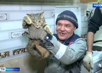 С 1 апреля пенсии вырстут более чем на 3%