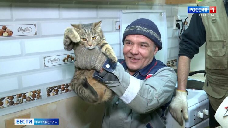 С 1 апреля пенсии вырстут более чем на 3%