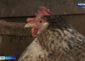 Строители начали новый этап реконструкции Горьковского шоссе