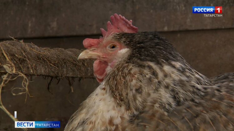 Строители начали новый этап реконструкции Горьковского шоссе