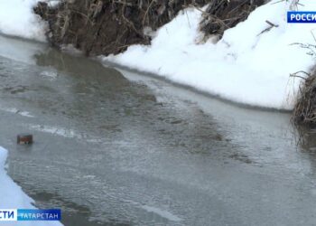 В Татарстан раньше срока вернулись утки