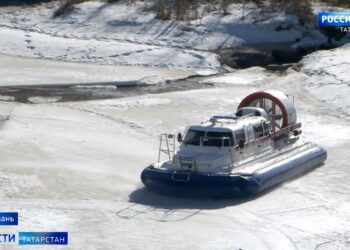 В Татарстане усилили посты на границах из-за случая сибирской язвы в Чувашии