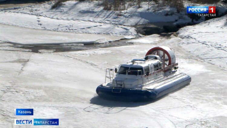 В Татарстане усилили посты на границах из-за случая сибирской язвы в Чувашии