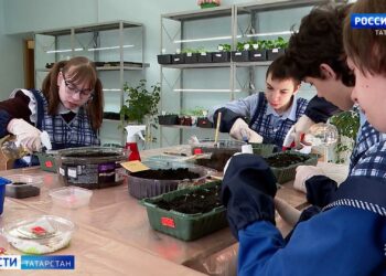 В Челнах детей с ОВЗ обучают профессиональным навыкам